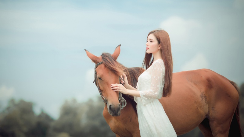 崩坏星穹铁道崇高道德的赞许怎么获得 崇高道德的赞许获得方法